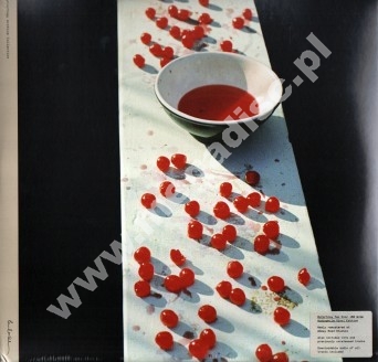 PAUL McCARTNEY - McCartney (2LP) - EU 180g Press - POSŁUCHAJ