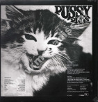 PUSSY - Pussy Plays - UK Morgan Blue Town PINK VINYL Limited 180g Press - POSŁUCHAJ